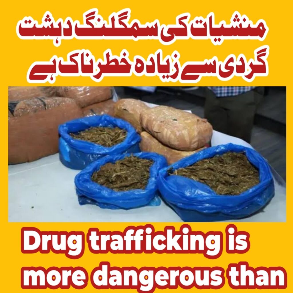 Drug trafficking is more dangerous than terrorism